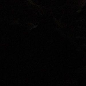 Meet your Posher, Kelli